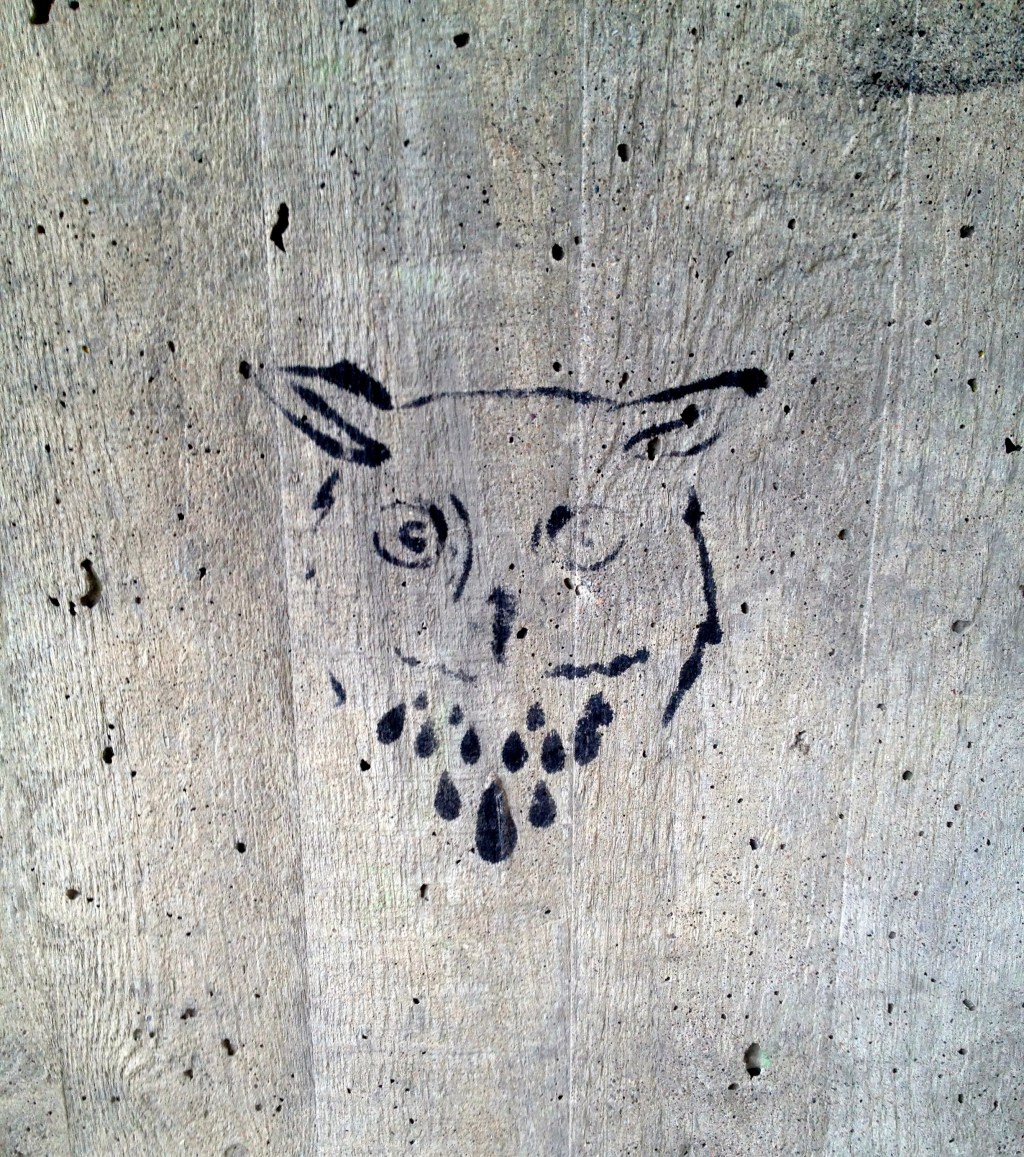 En stirrande blick och stenhårda&nbsp;ytor