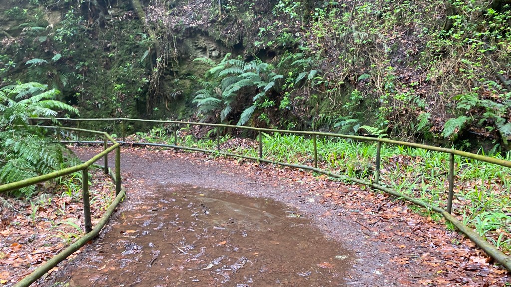 𝟓 Exploring Madeira: A Journey Through Nature and Culture – Day&nbsp;5